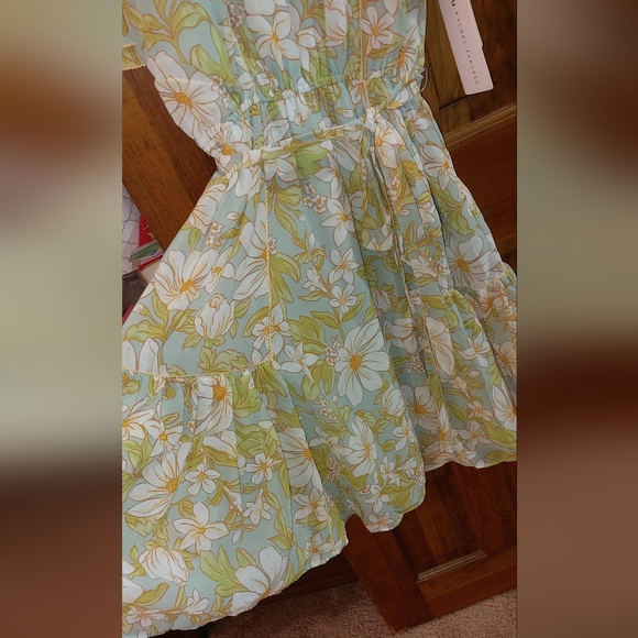 Free People x Rachel Parcell Chiffon Floral Dress - Picture 5 of 12